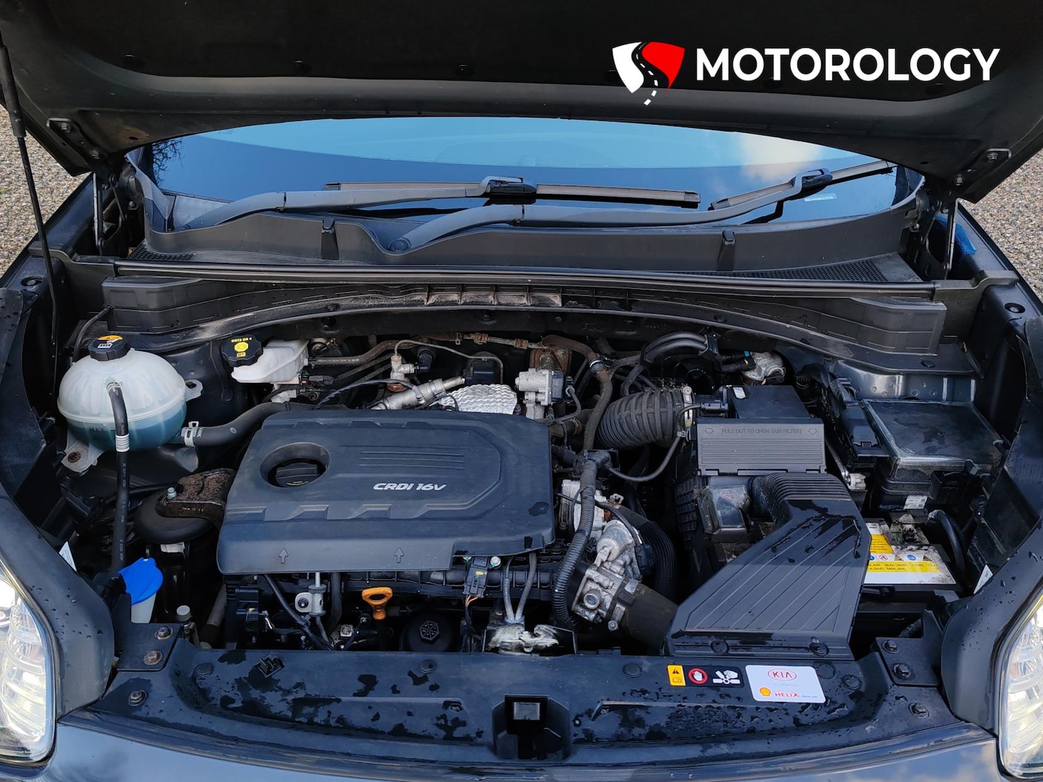 Used Kia Sportage 2017 for sale - 77127778: Photo 35