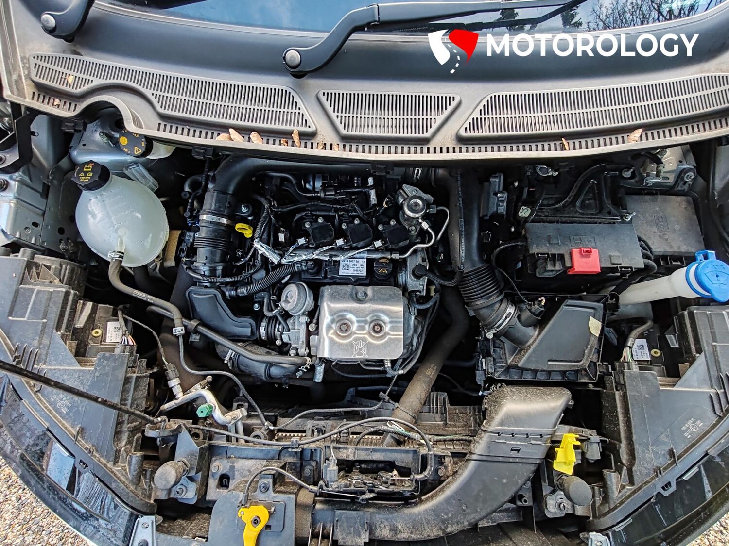 Used Ford Ecosport 2022 for sale - 76719267: Photo 39