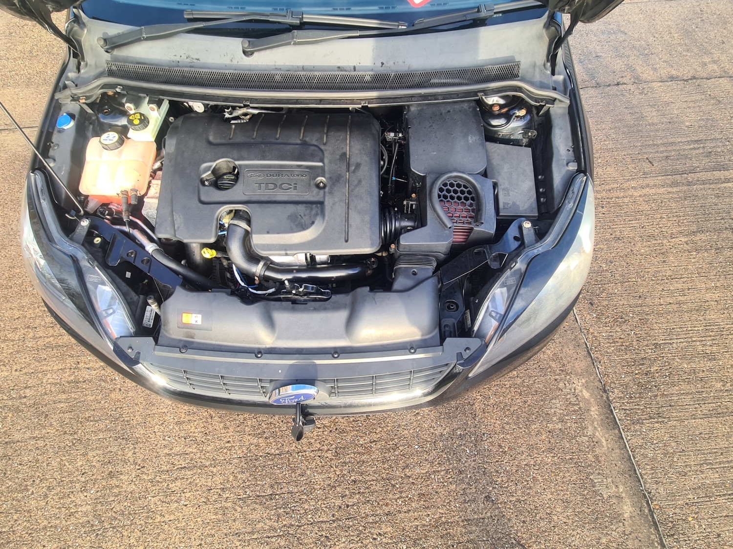 Used Ford Focus 2010 for sale - 77610639: Photo 20