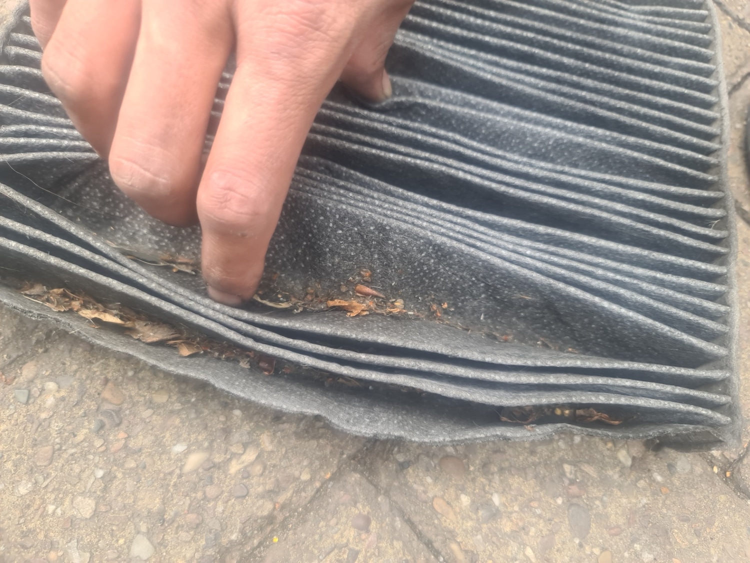 Used Renault Scenic 2009 for sale - 76302074: Photo 20