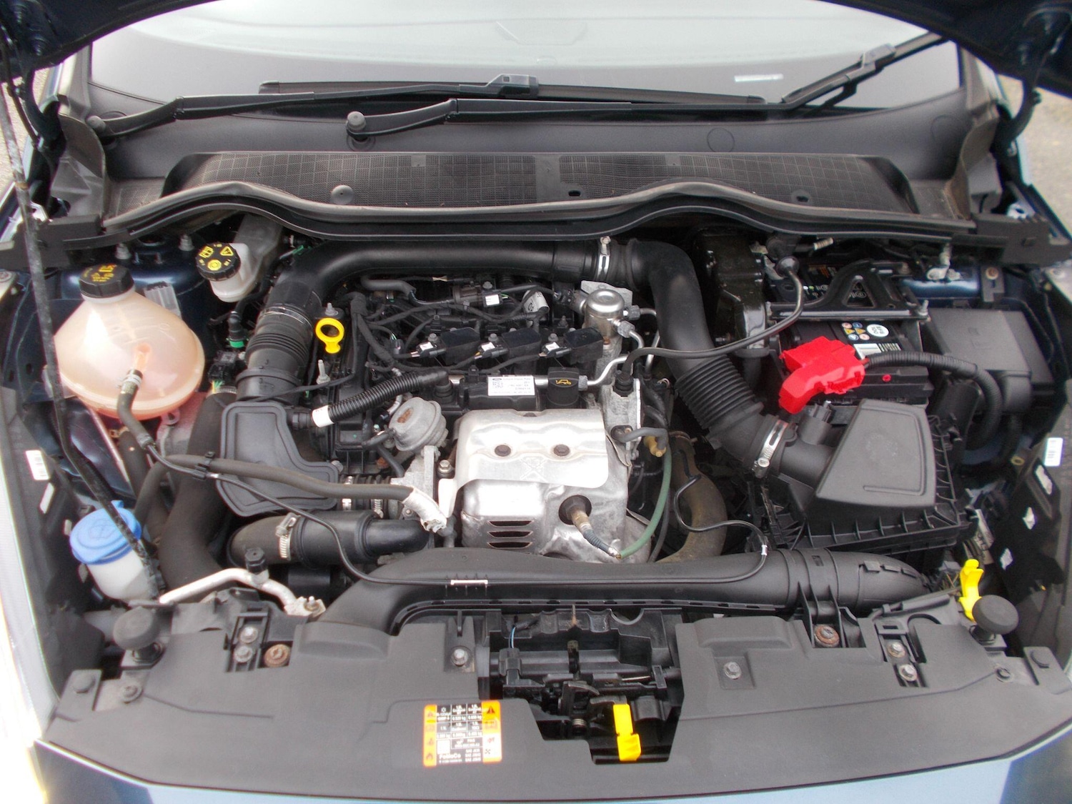 Used Ford Fiesta for sale - 77587141: Photo 26