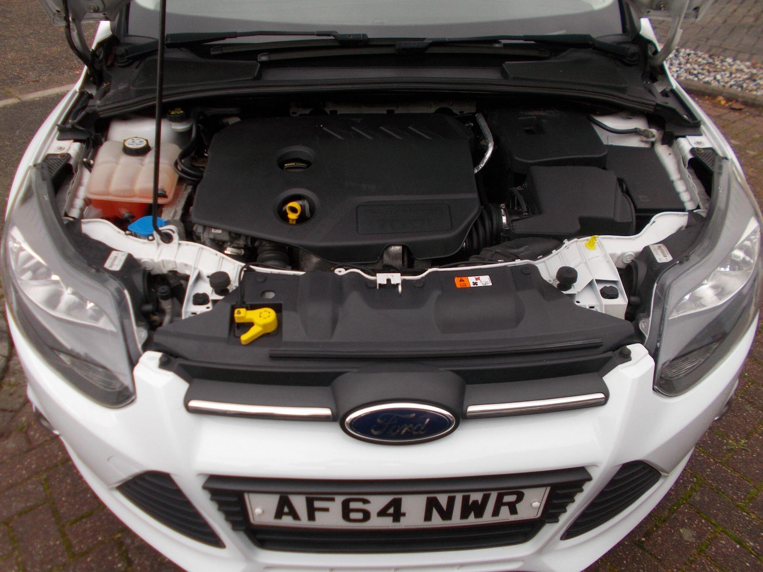 Used Ford Focus for sale - 76473656: Photo 18