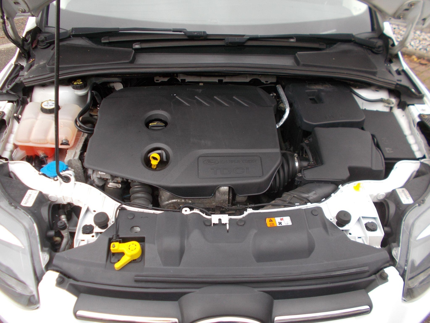 Used Ford Focus for sale - 76473656: Photo 26