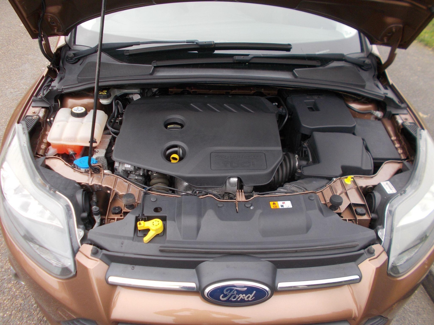 Used Ford Focus 2013 for sale - 77066438: Photo 35