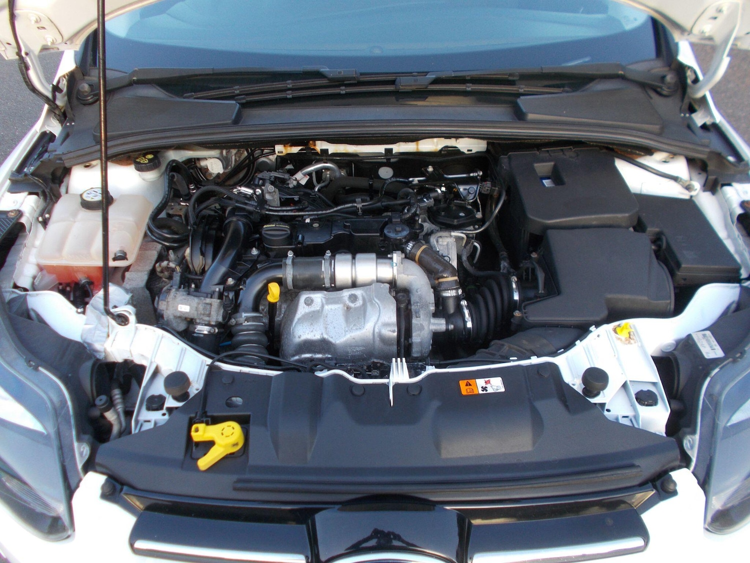 Used Ford Focus for sale - 77978526: Photo 39