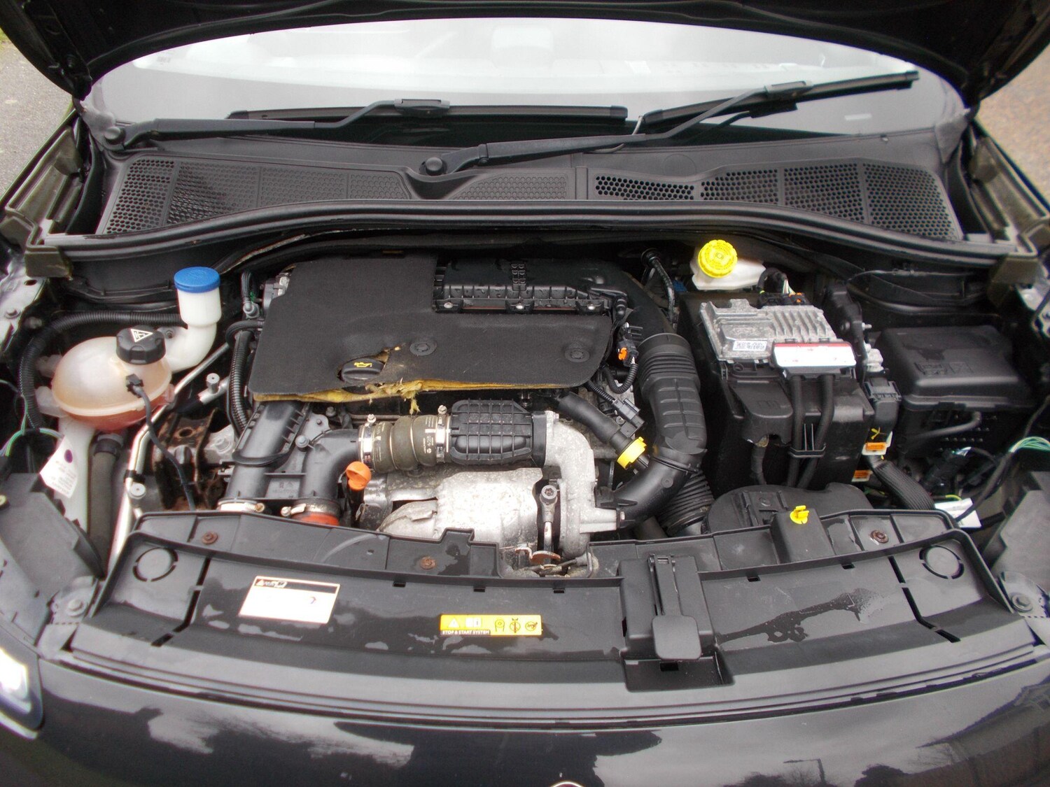 Used Citroen C4 Cactus 2015 for sale - 77484266: Photo 41