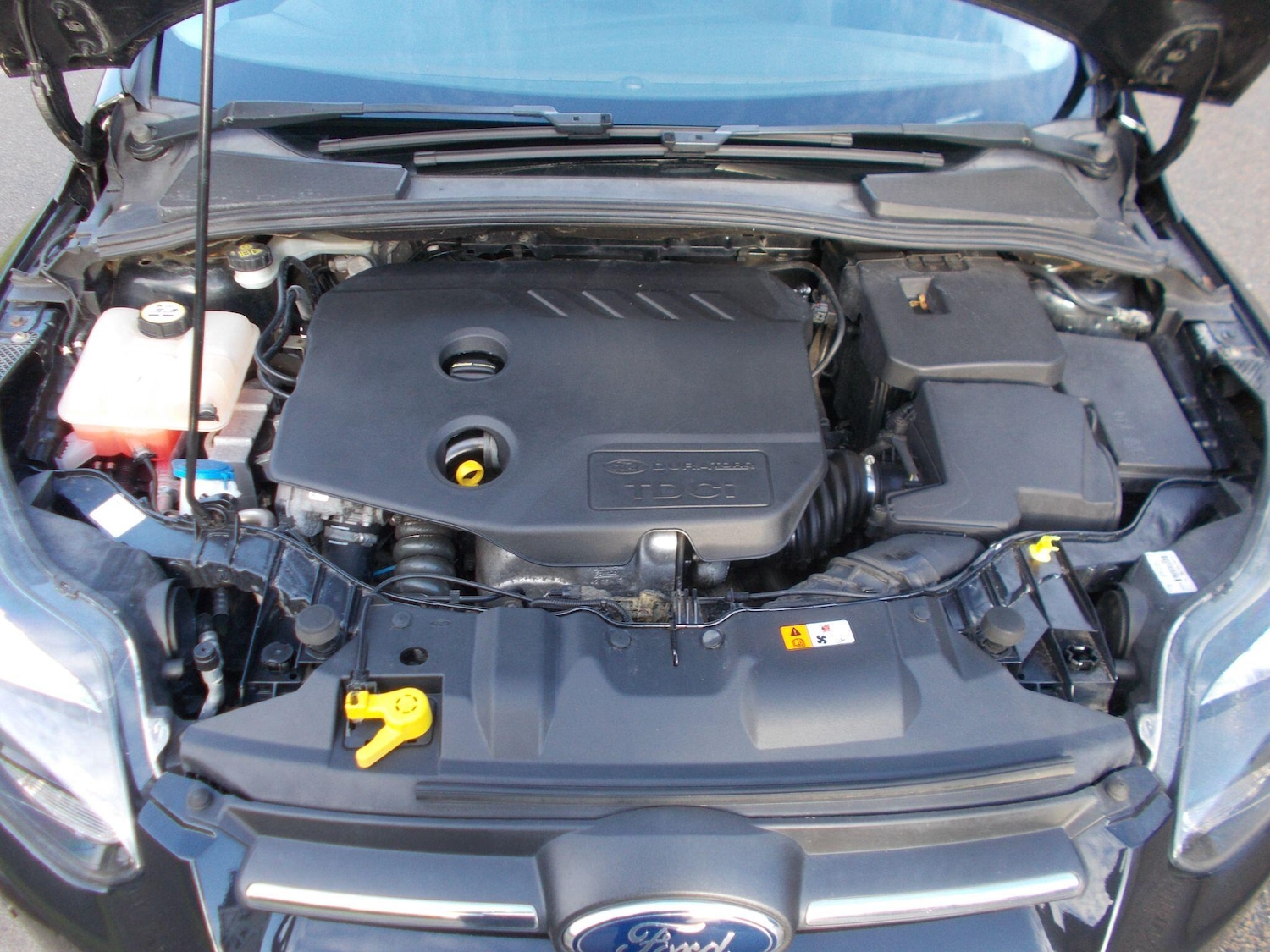 Used Ford Focus 2012 for sale - 78035161: Photo 15