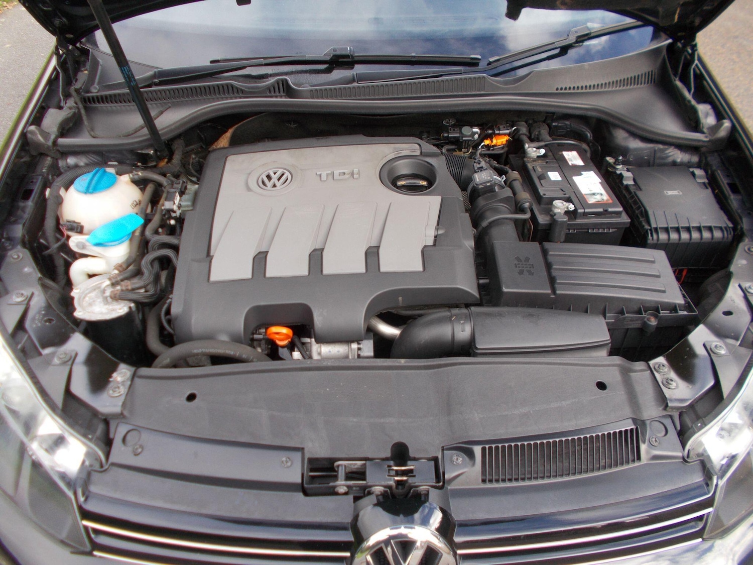 Used Volkswagen Golf 2010 for sale - 76440981: Photo 39