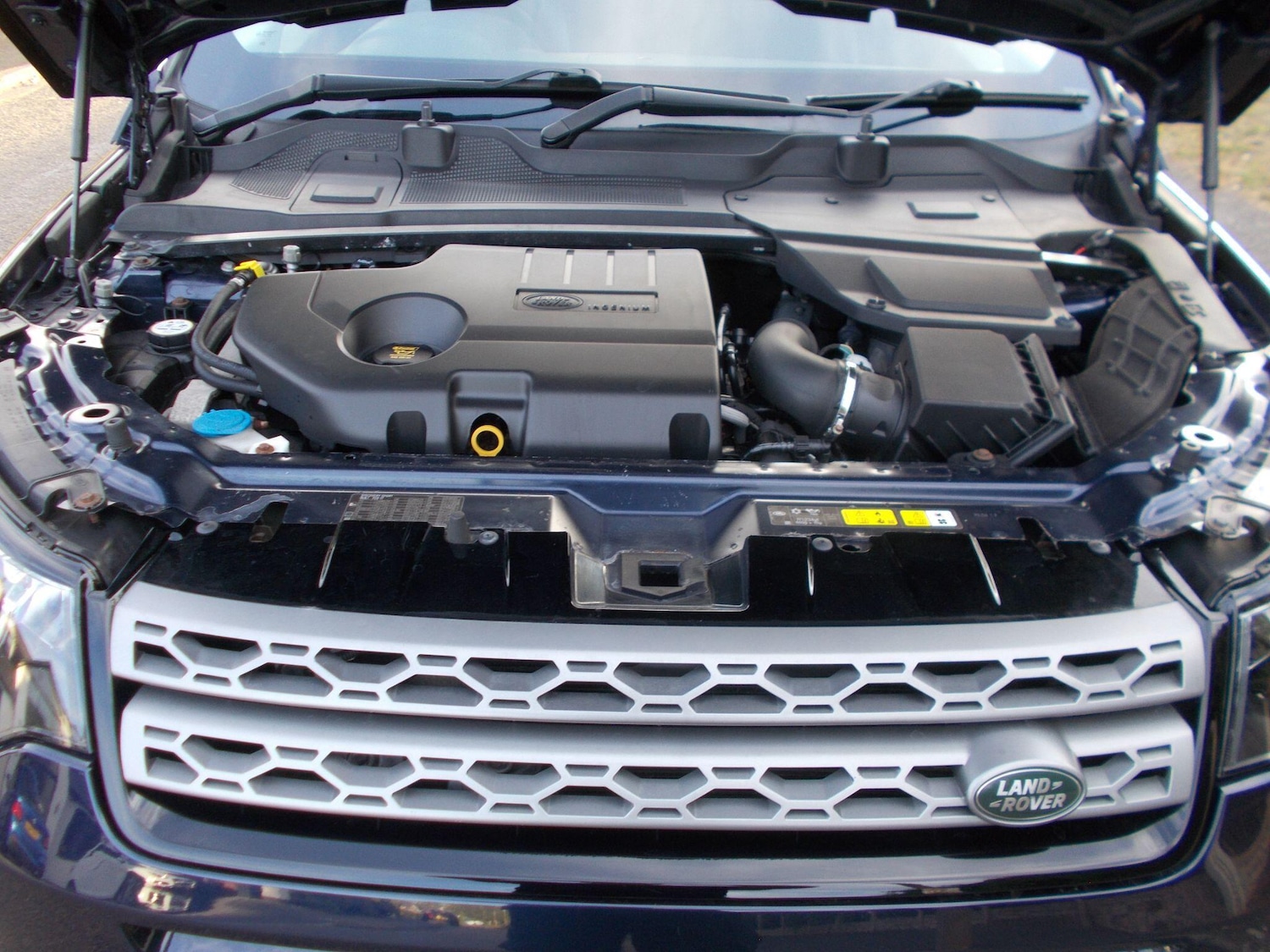 Vehicle 31