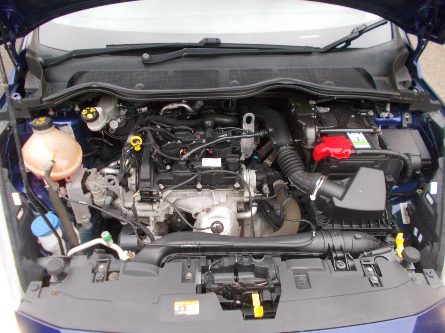 Used Ford Fiesta 2017 for sale - 76499387: Photo 25