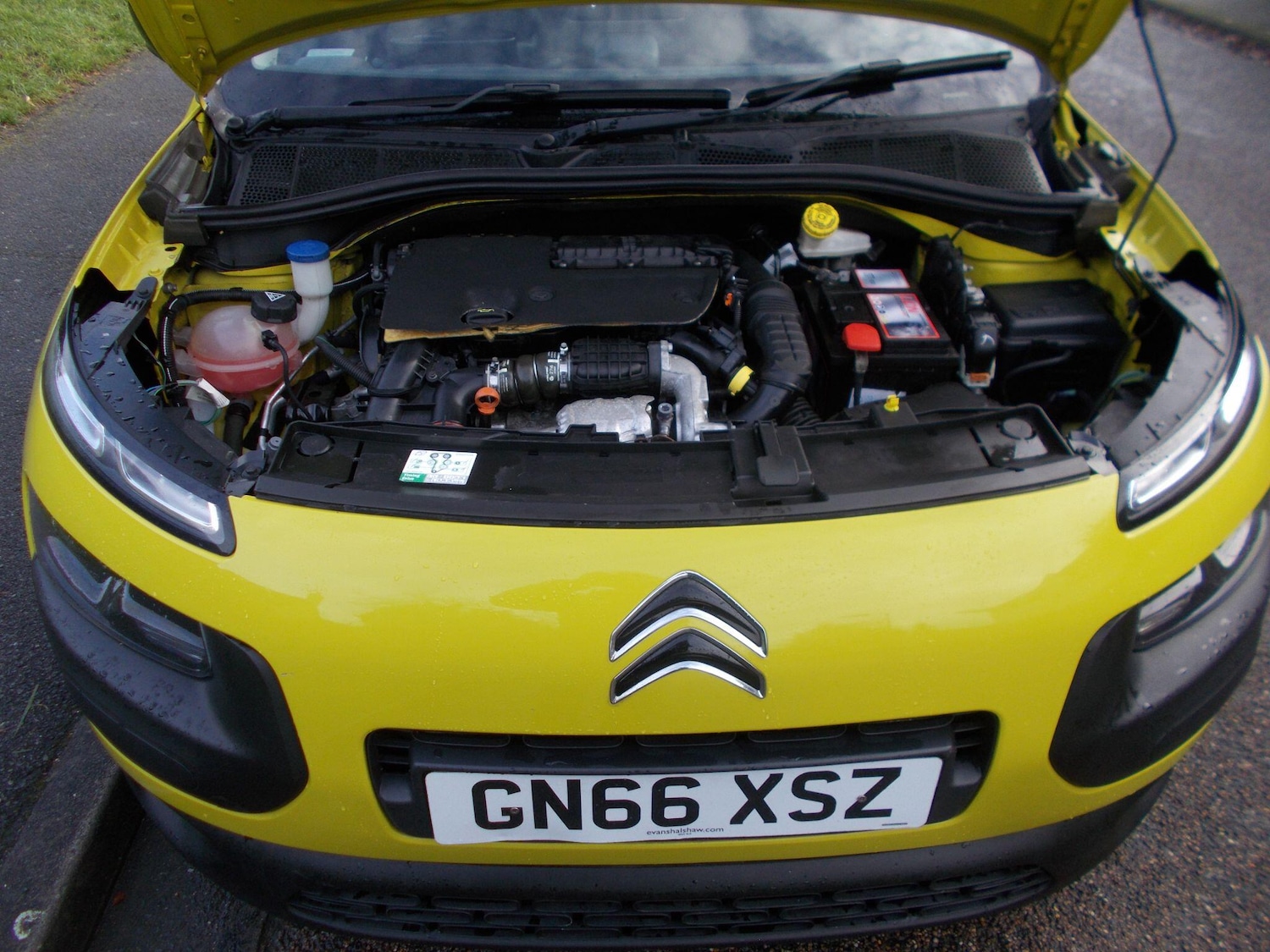 Used Citroen C4 Cactus 2016 for sale - 76825168: Photo 20