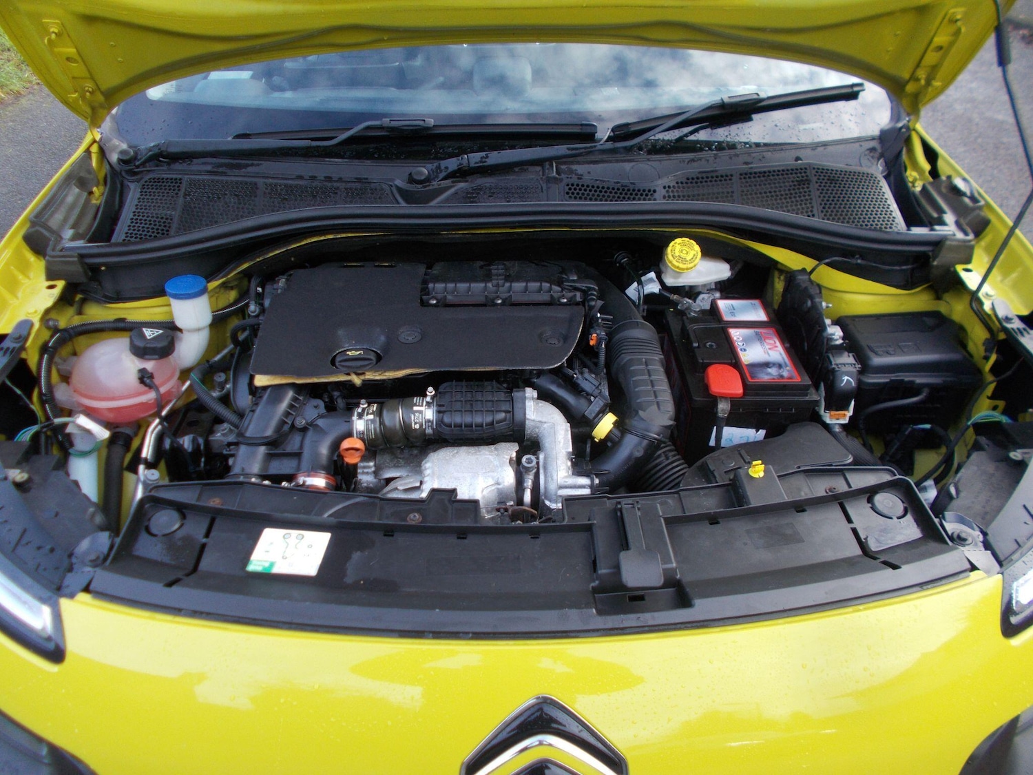 Used Citroen C4 Cactus 2016 for sale - 76825168: Photo 40