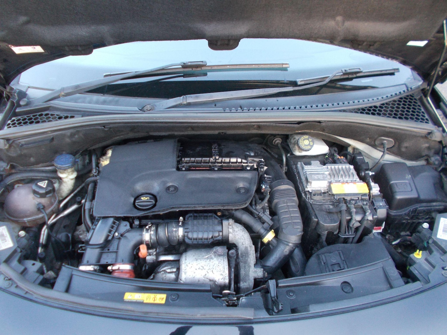 Used Citroen DS3 2014 for sale - 76349428: Photo 12