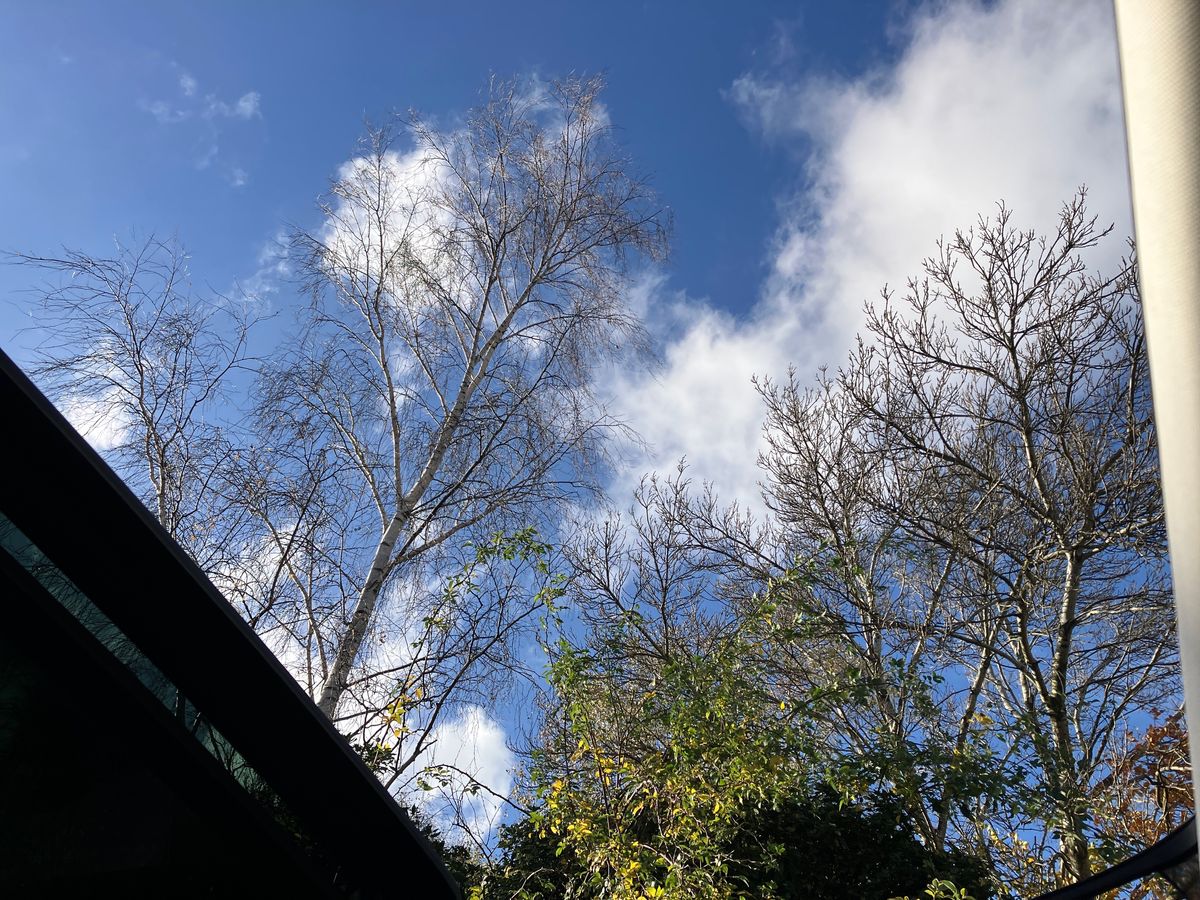 Used MG MG HS 2022 for sale - 76412884: Photo 47