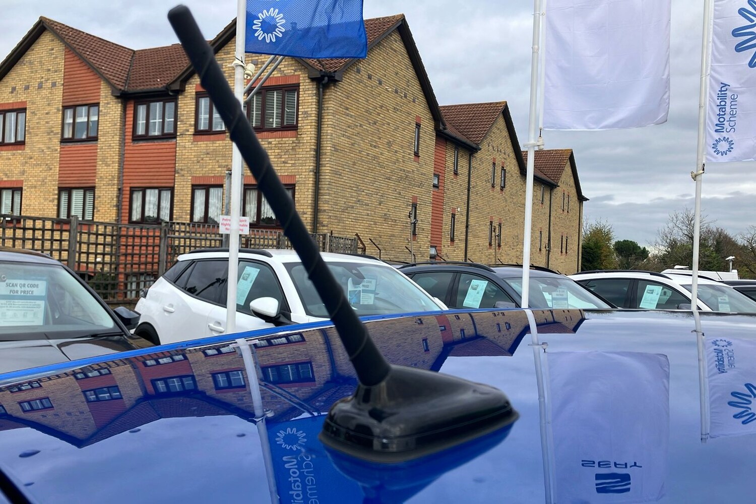 Used SEAT Ibiza 2024 for sale - 77579433: Photo 49