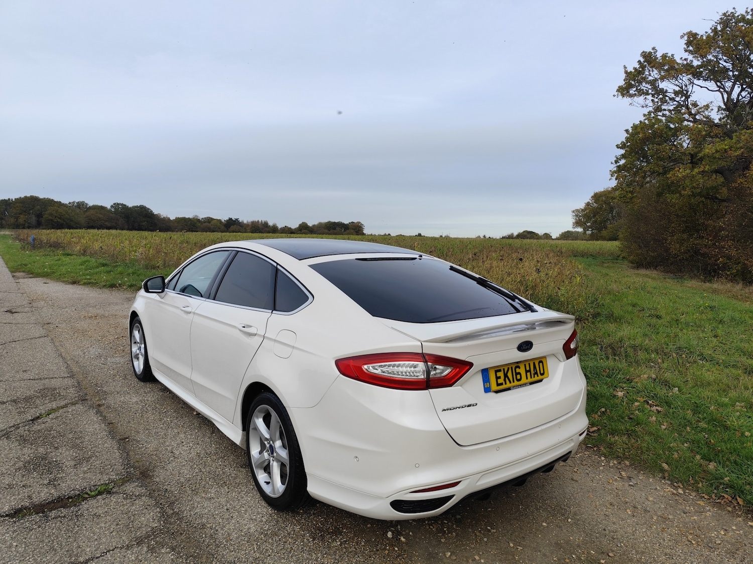 Used Ford Mondeo 2016 for sale - 76413391: Photo 11