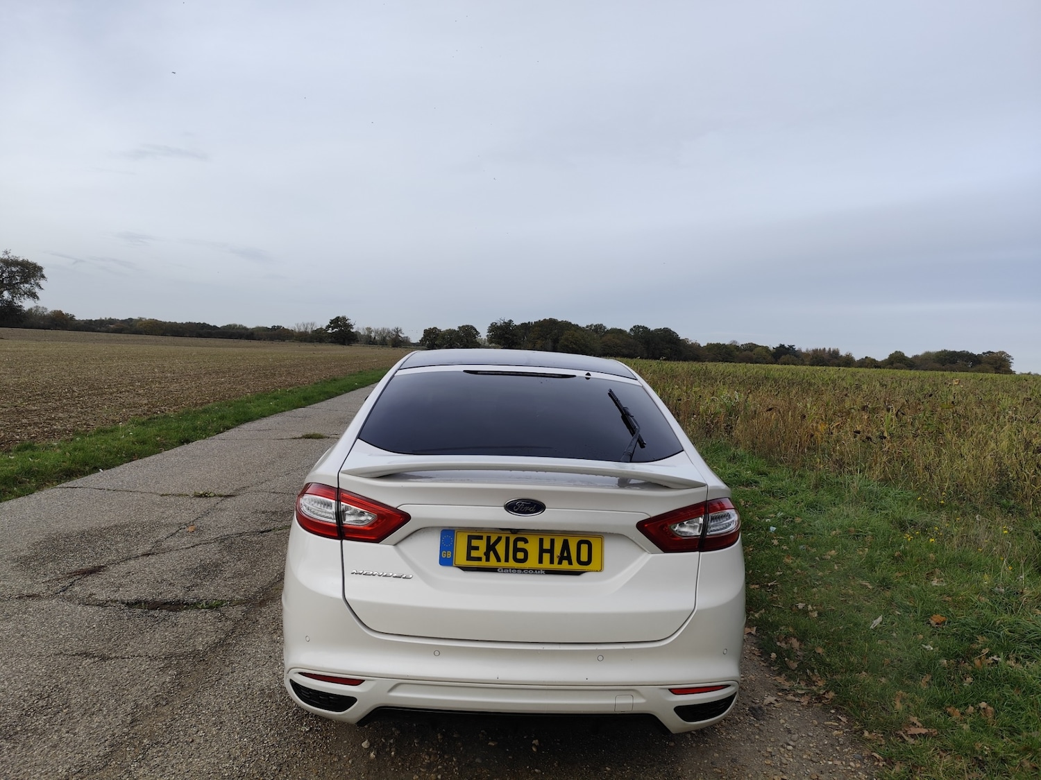 Used Ford Mondeo 2016 for sale - 76413391: Photo 12