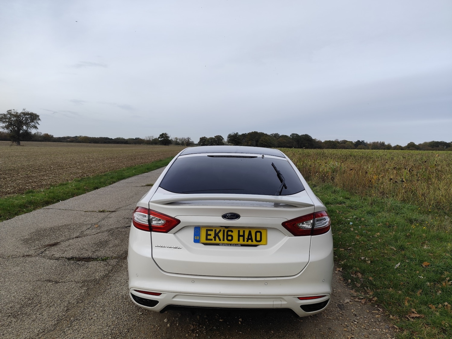 Used Ford Mondeo 2016 for sale - 76413391: Photo 13