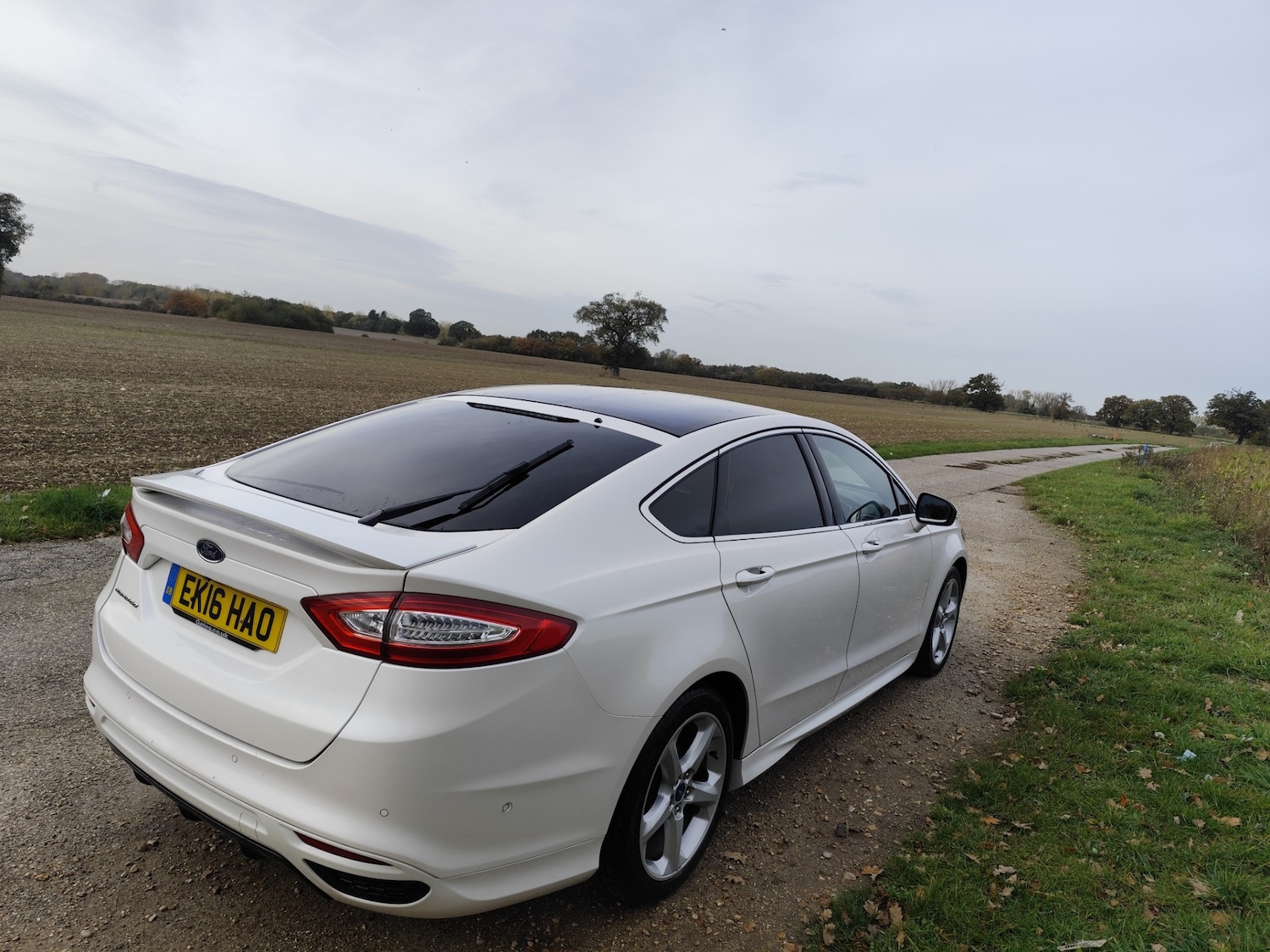 Used Ford Mondeo 2016 for sale - 76413391: Photo 14