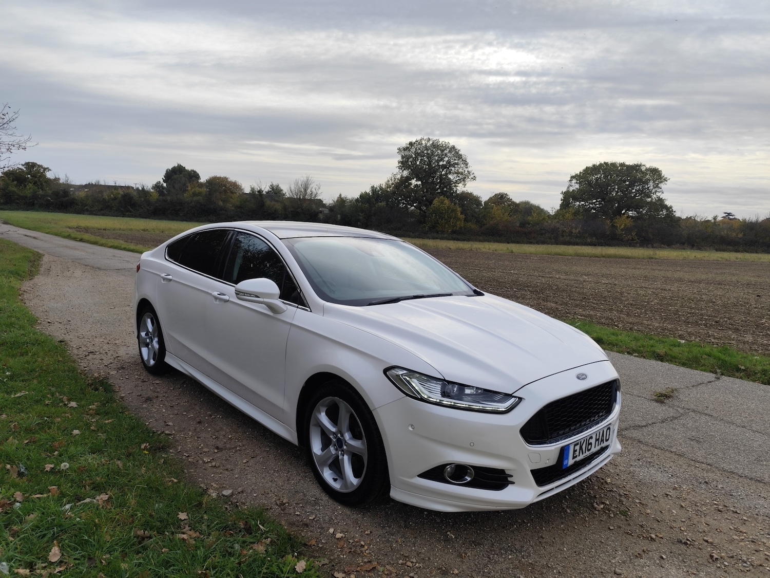 Used Ford Mondeo 2016 for sale - 76413391: Photo 4