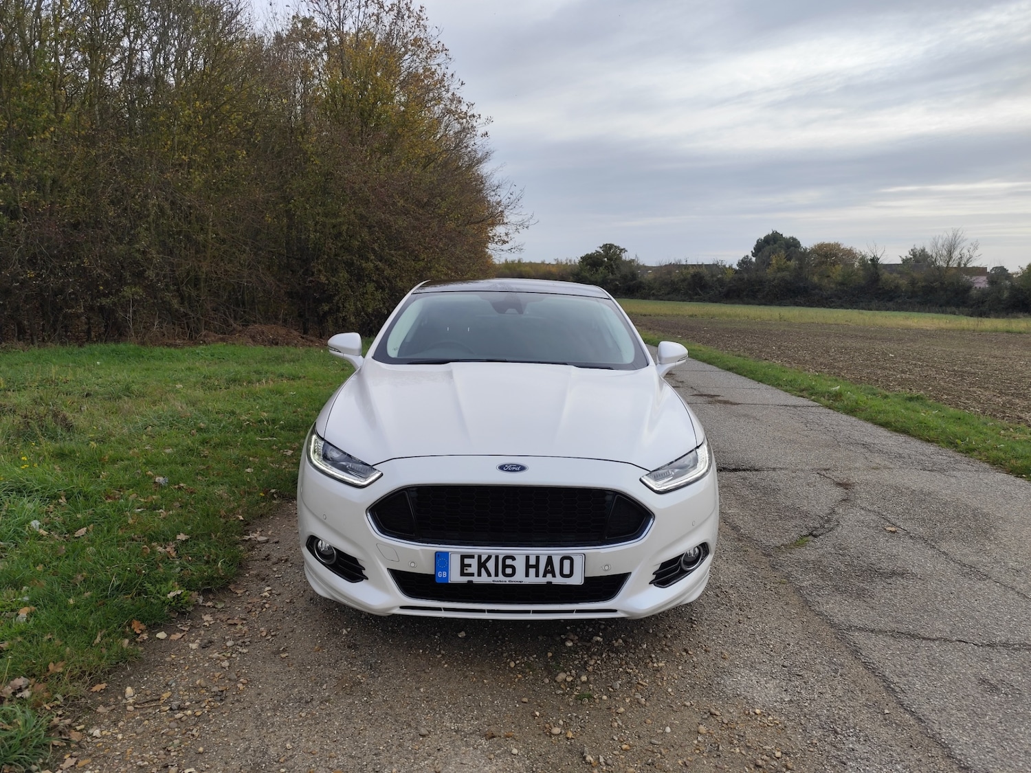 Used Ford Mondeo 2016 for sale - 76413391: Photo 5