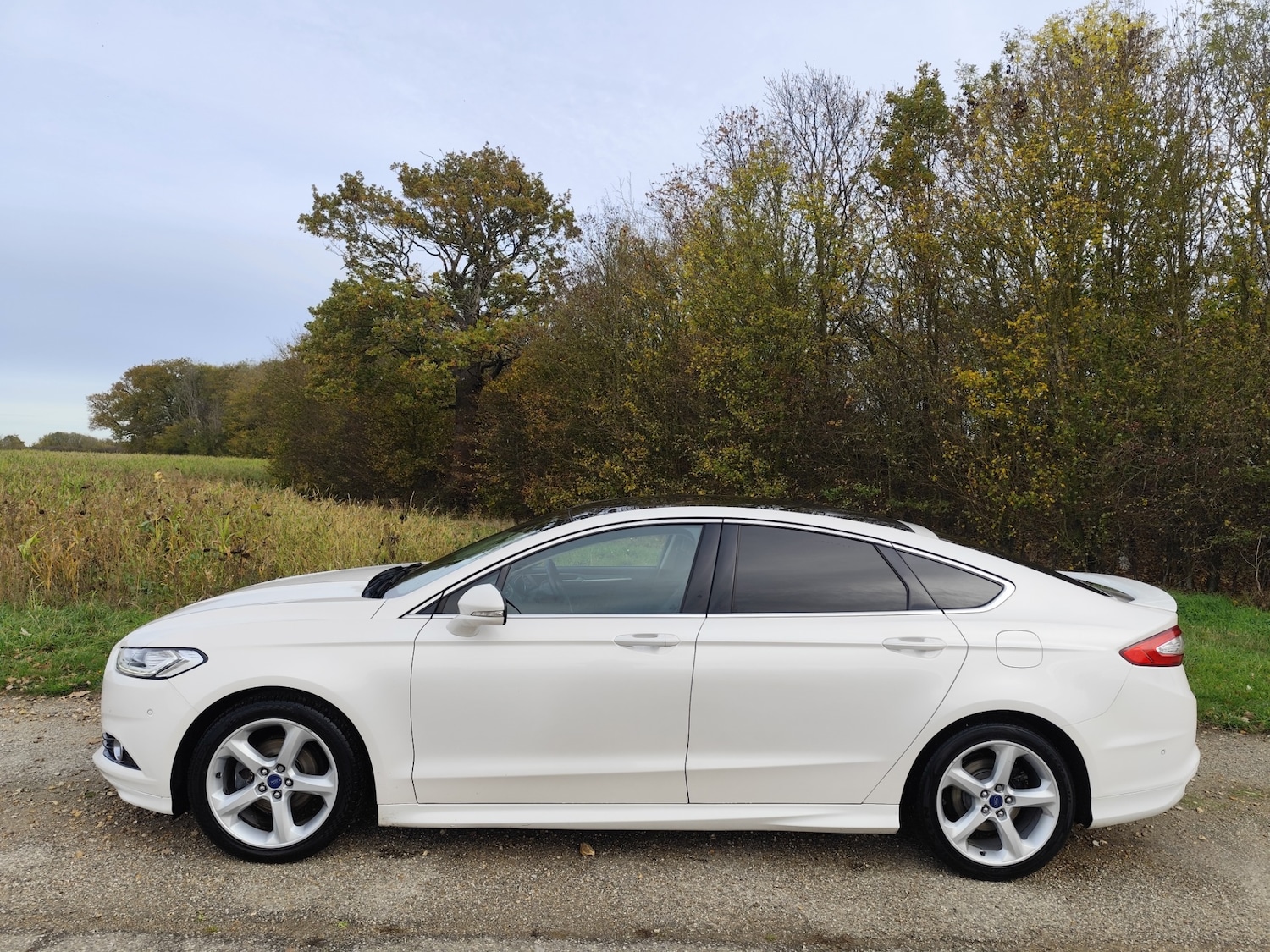 Used Ford Mondeo 2016 for sale - 76413391: Photo 9