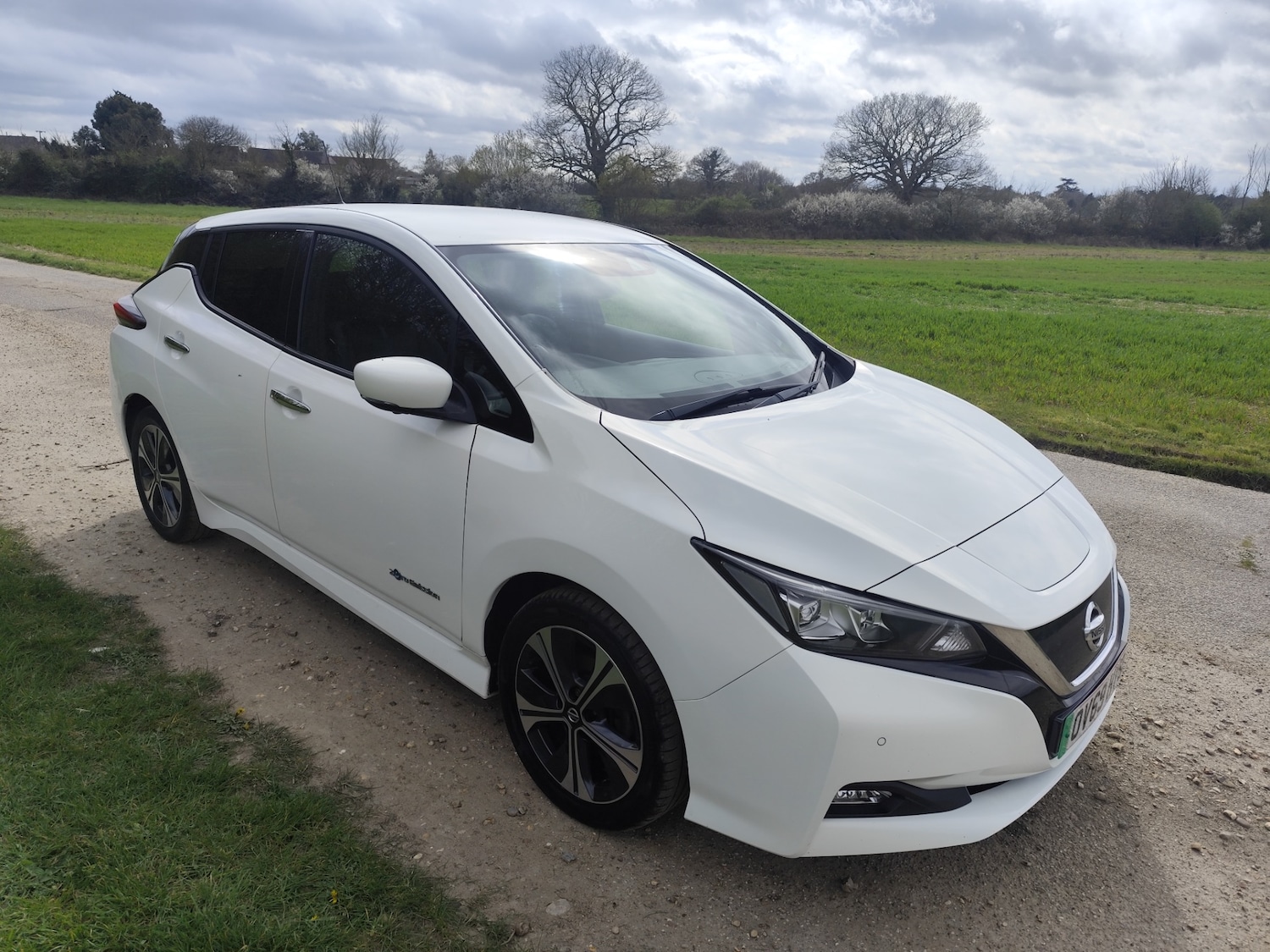 Used Nissan Leaf 2019 for sale - 78152976: Photo 3