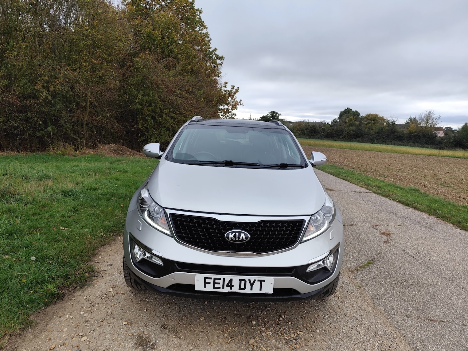 Used Kia Sportage 2014 for sale - 76588299: Photo 4