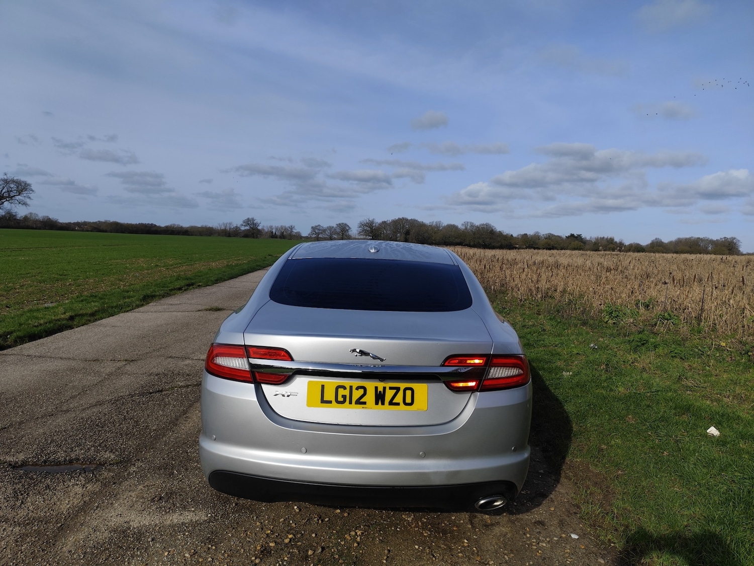 Used Jaguar XF 2012 for sale - 77579881: Photo 11