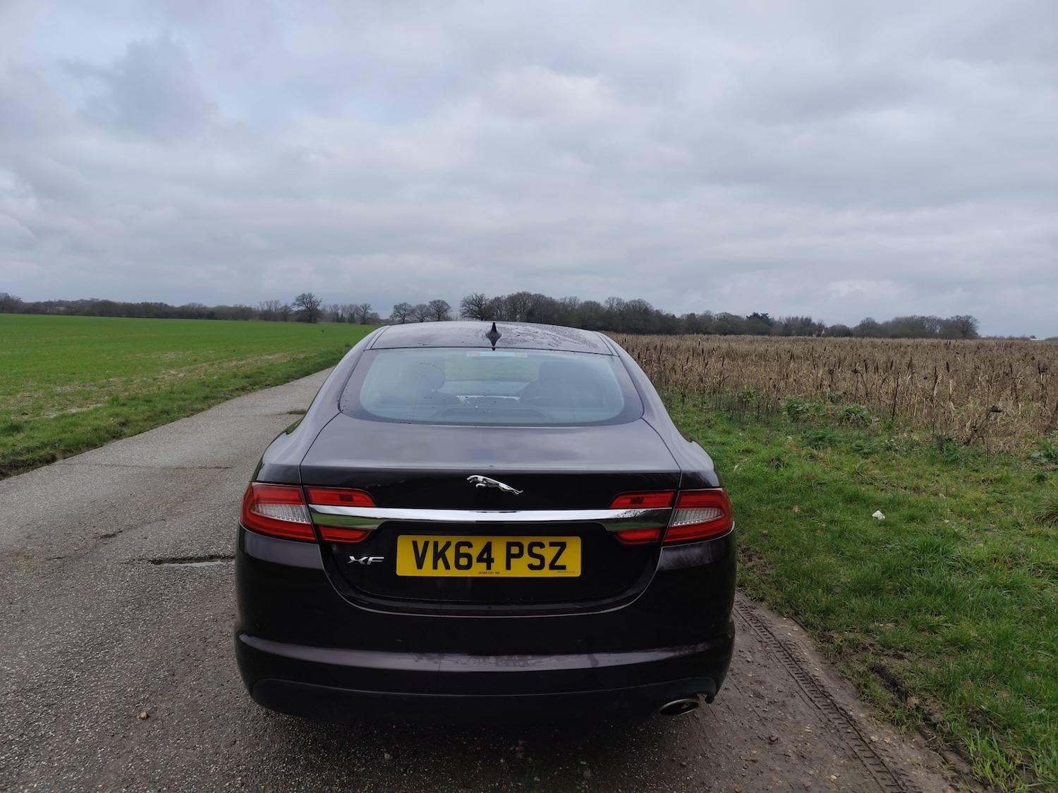 Used Jaguar XF 2014 for sale - 77531821: Photo 10