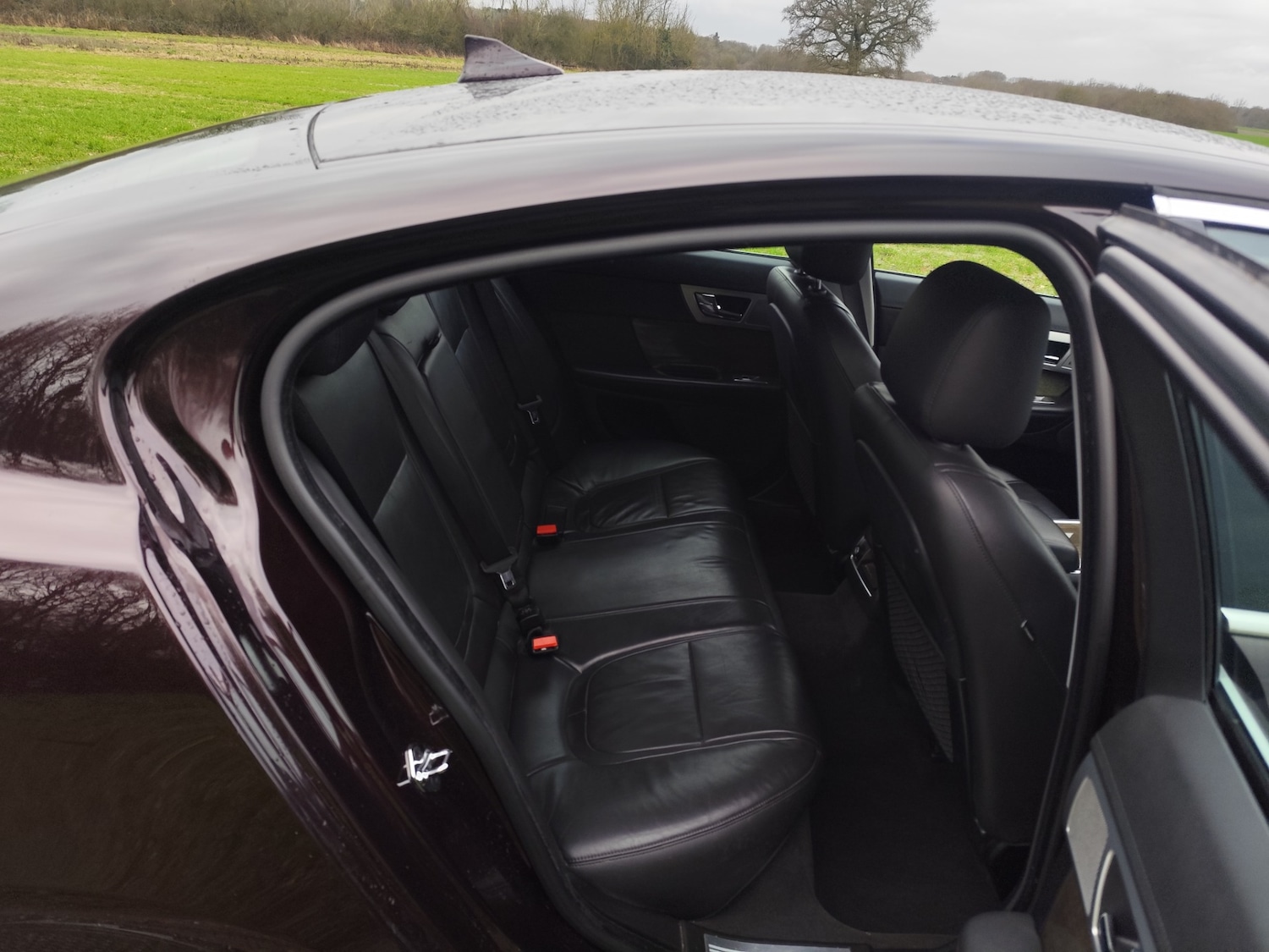 Used Jaguar XF 2014 for sale - 77531821: Photo 15