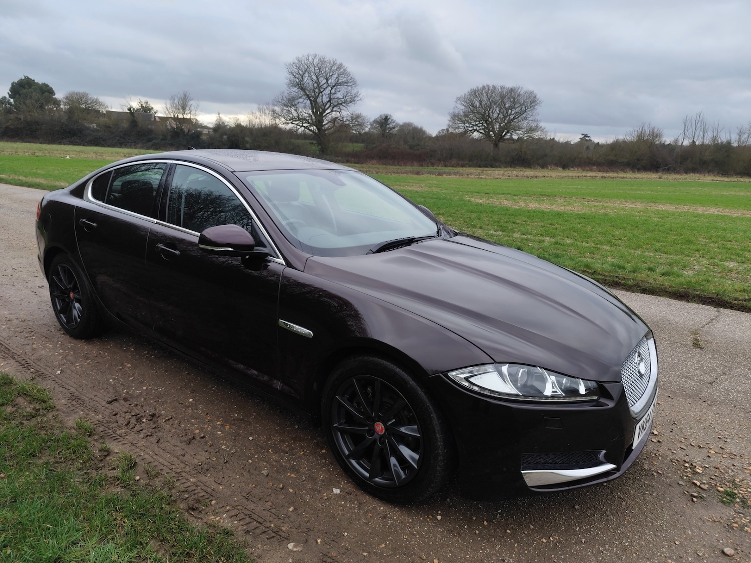 Used Jaguar XF 2014 for sale - 77531821: Photo 2