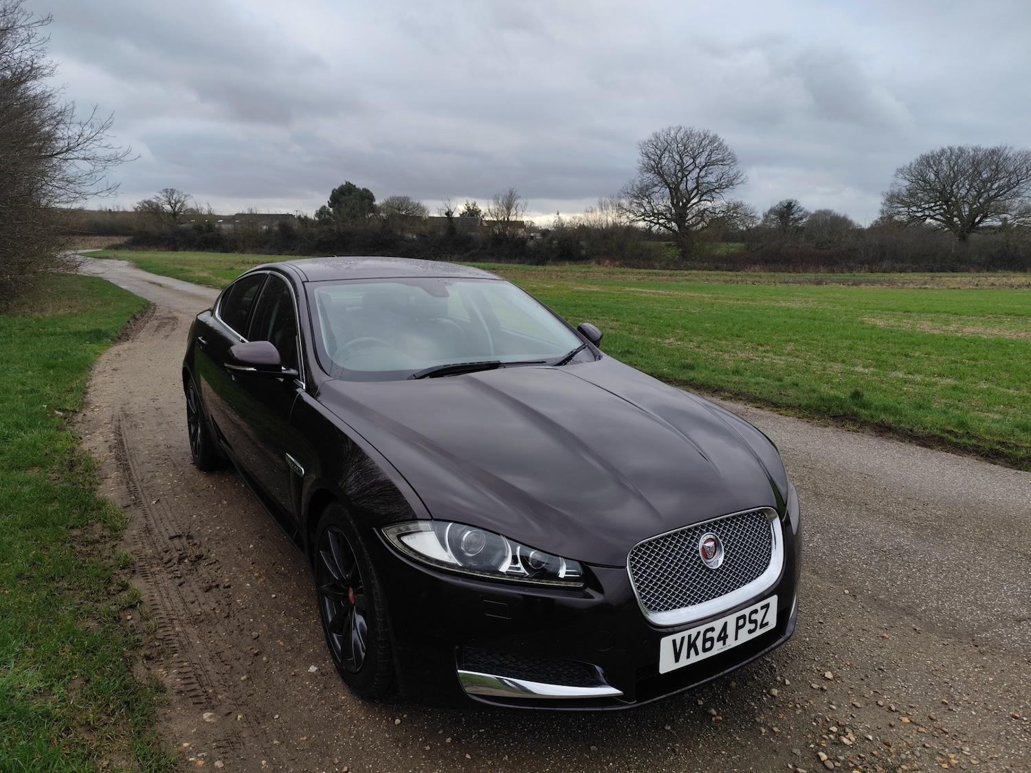 Used Jaguar XF 2014 for sale - 77531821: Photo 3