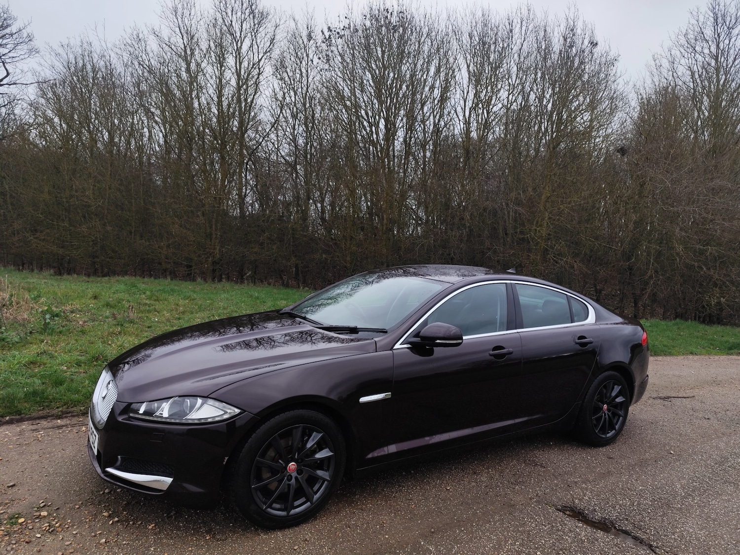 Used Jaguar XF 2014 for sale - 77531821: Photo 6