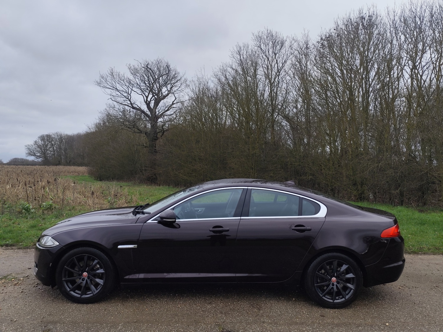 Used Jaguar XF 2014 for sale - 77531821: Photo 7