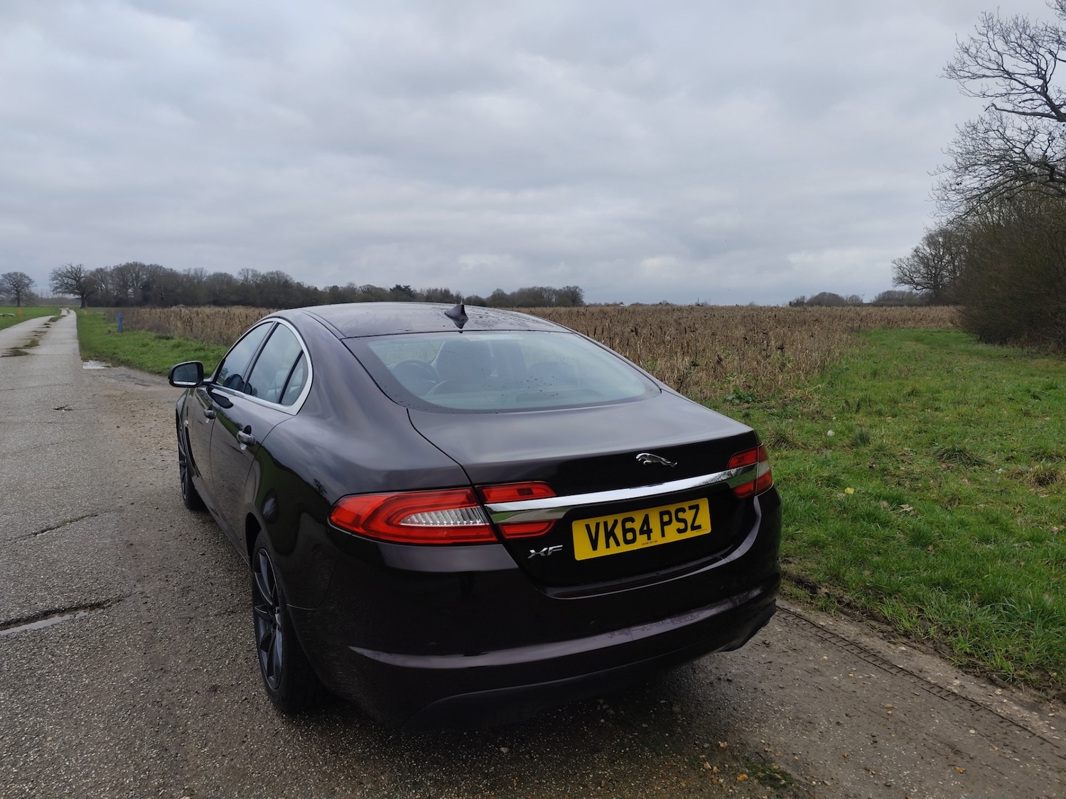 Used Jaguar XF 2014 for sale - 77531821: Photo 9