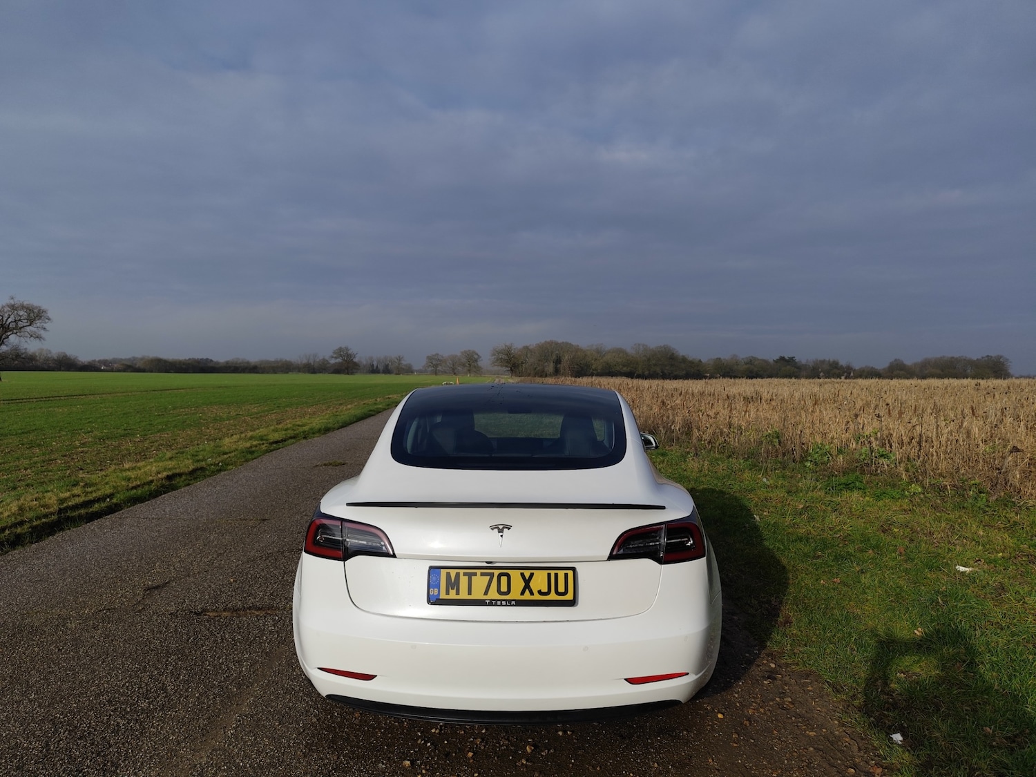 Used Tesla Model 3 2020 for sale - 77248587: Photo 10