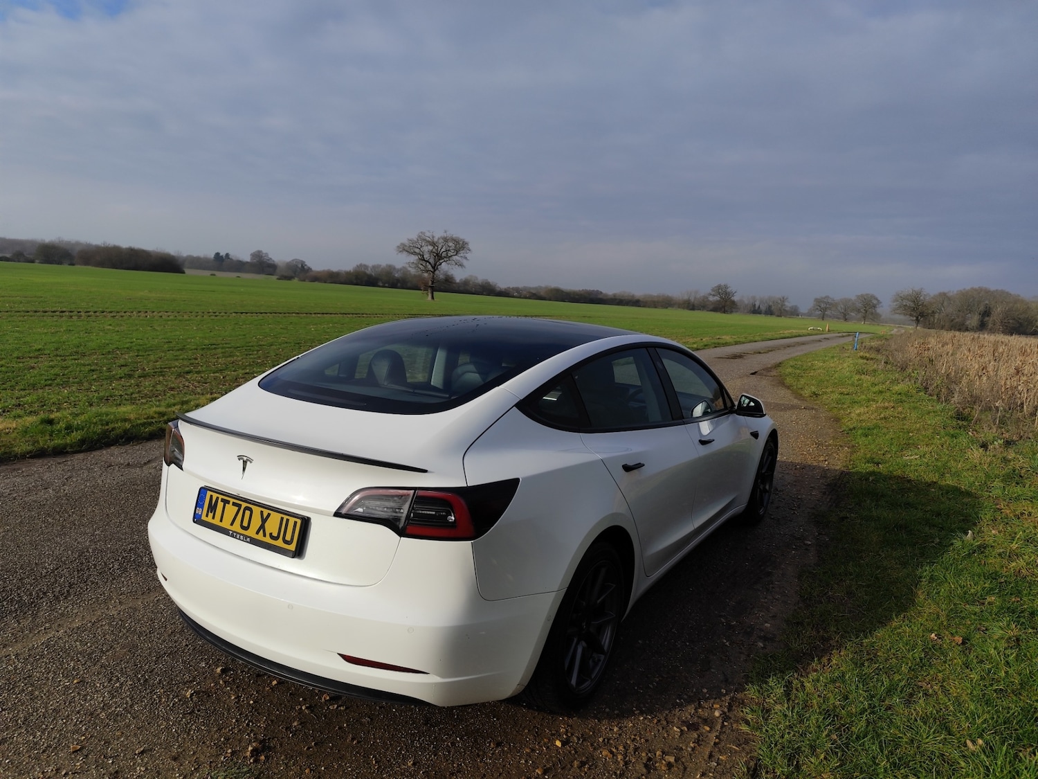 Used Tesla Model 3 2020 for sale - 77248587: Photo 11