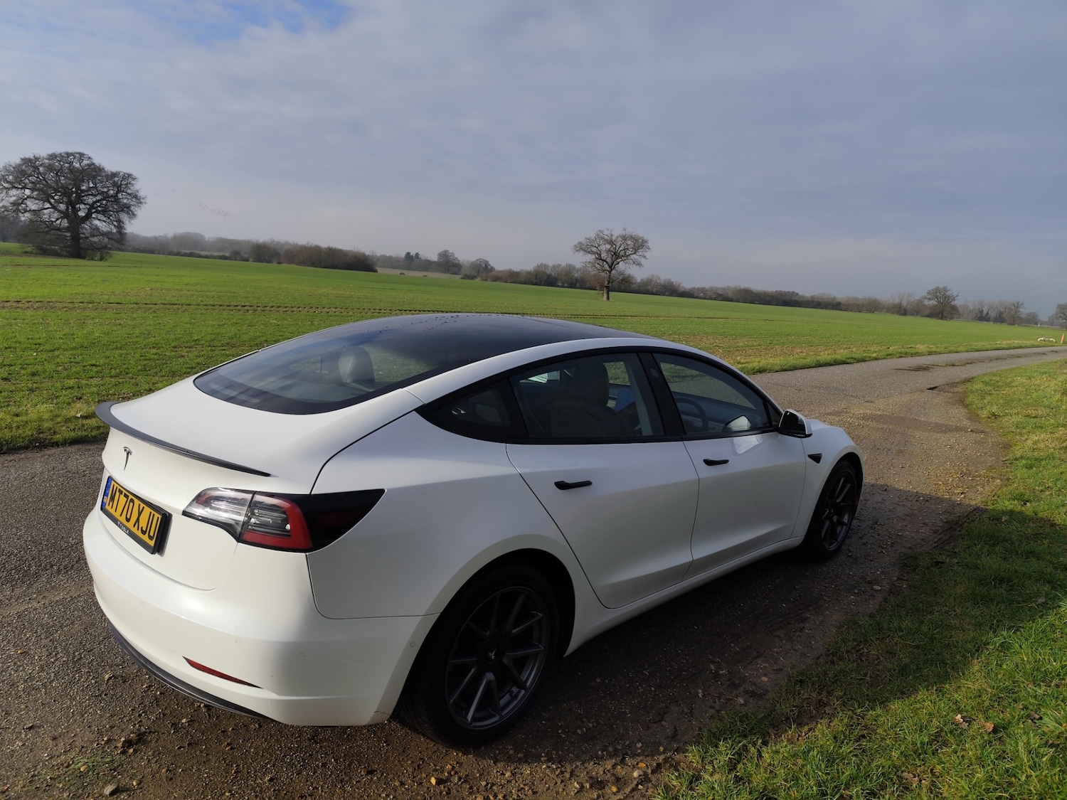 Used Tesla Model 3 2020 for sale - 77248587: Photo 12