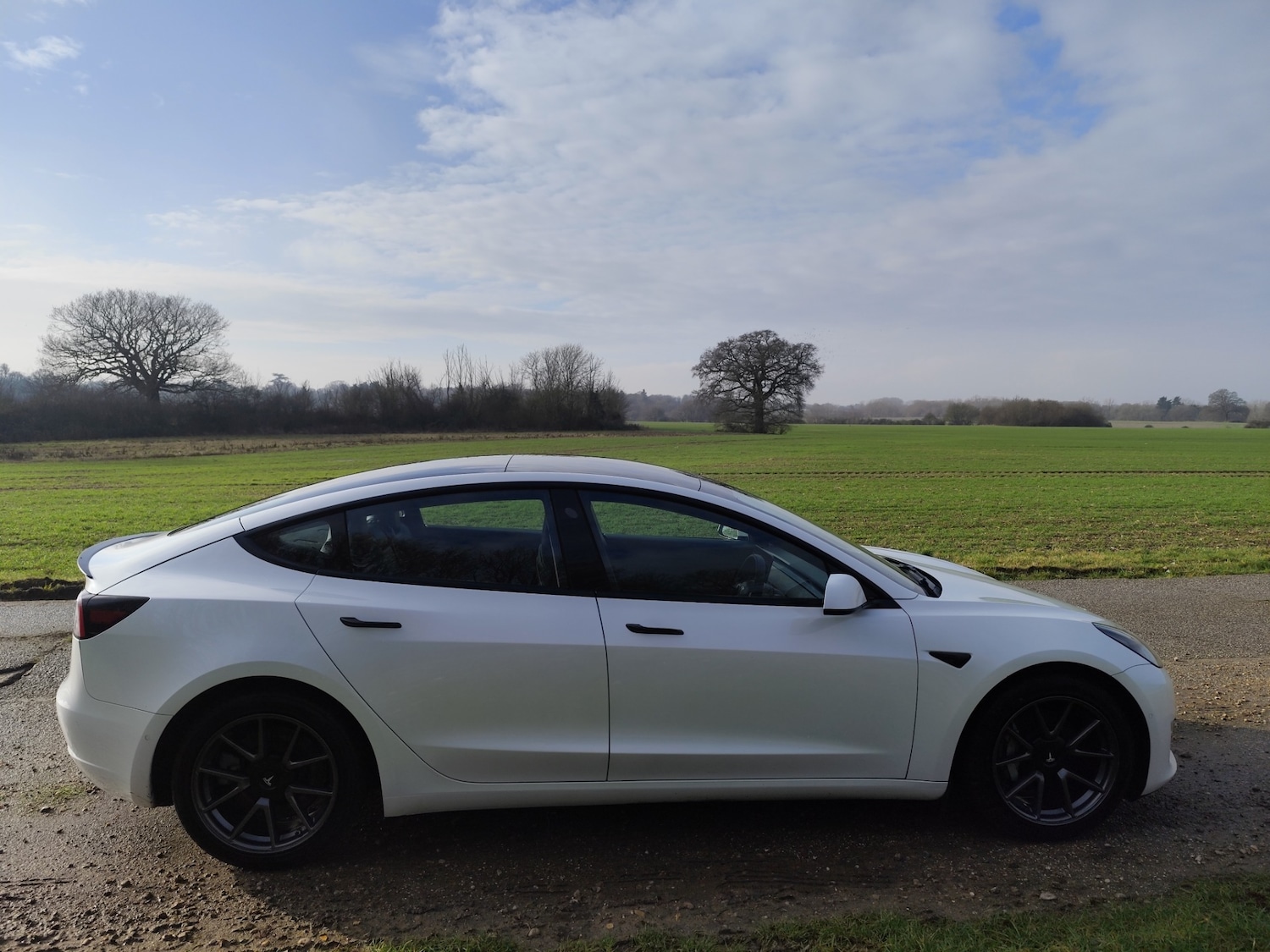 Used Tesla Model 3 2020 for sale - 77248587: Photo 13