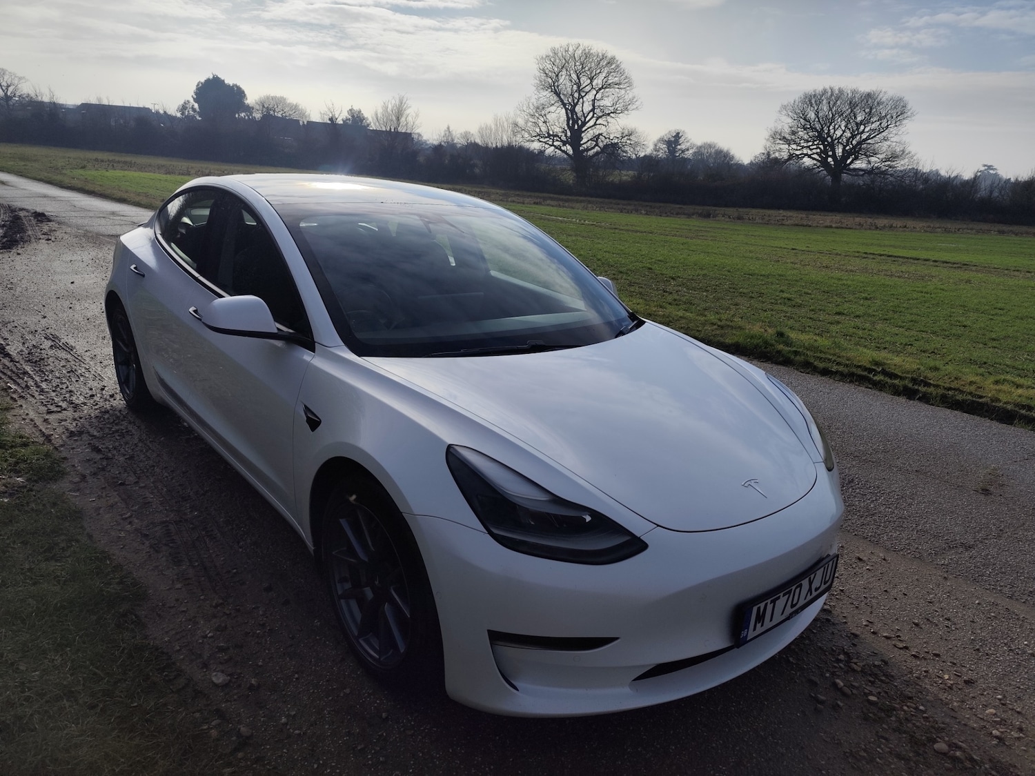 Used Tesla Model 3 2020 for sale - 77248587: Photo 2