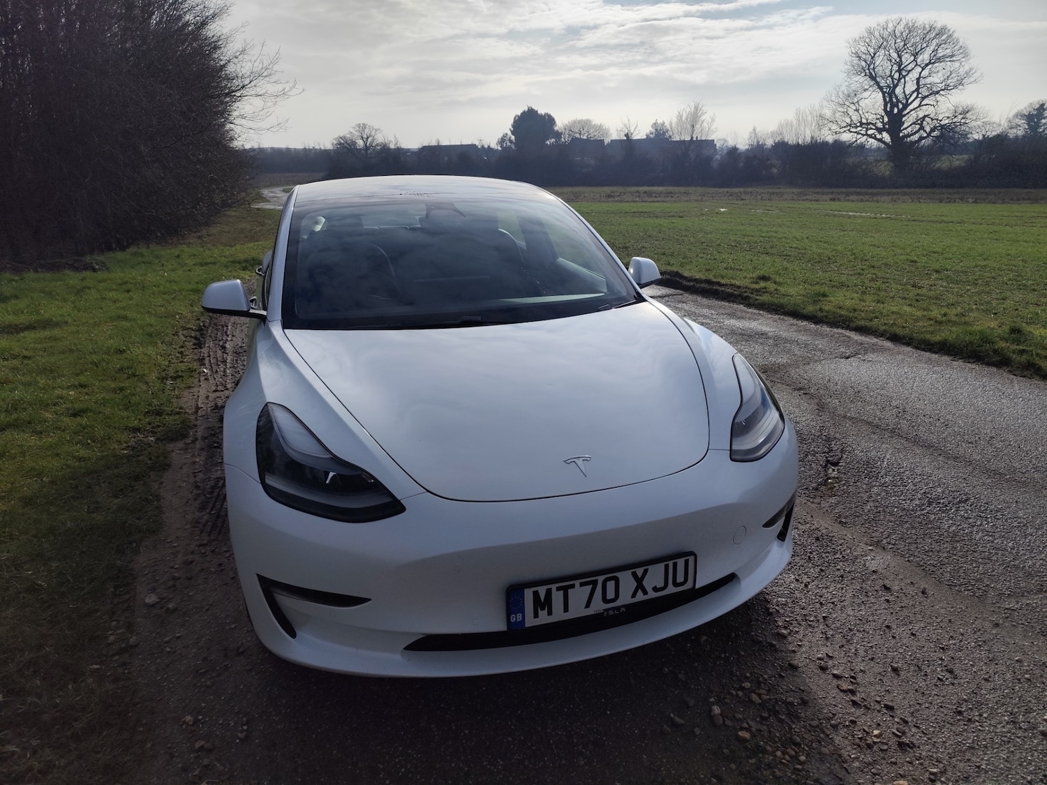 Used Tesla Model 3 2020 for sale - 77248587: Photo 3