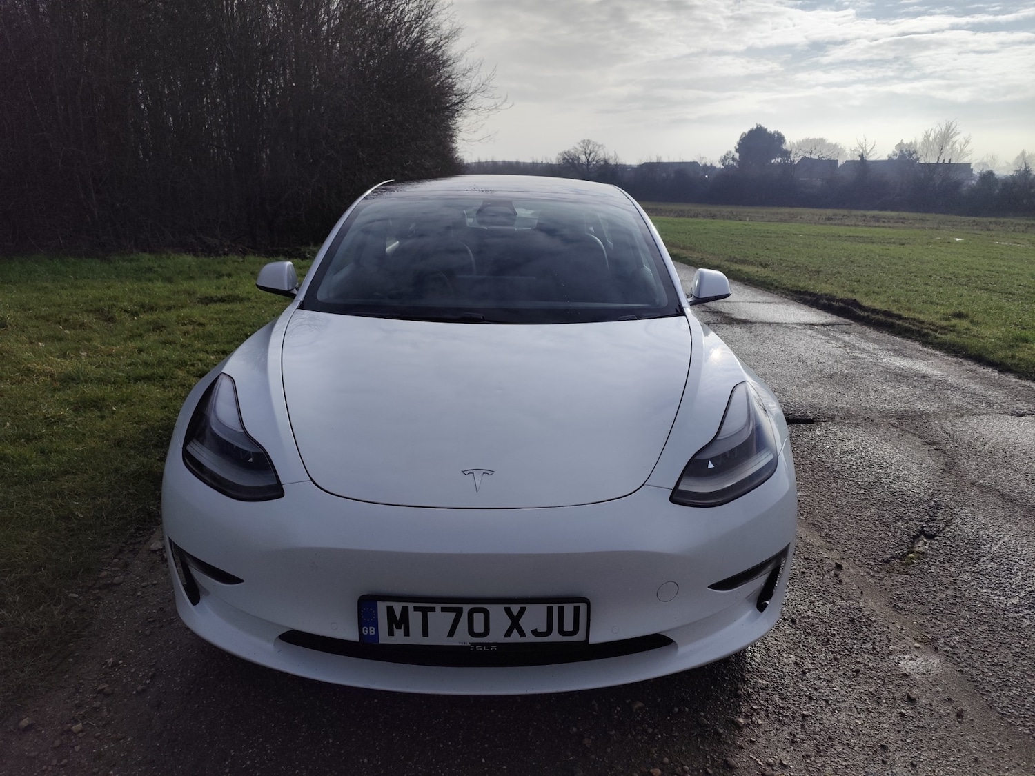 Used Tesla Model 3 2020 for sale - 77248587: Photo 4