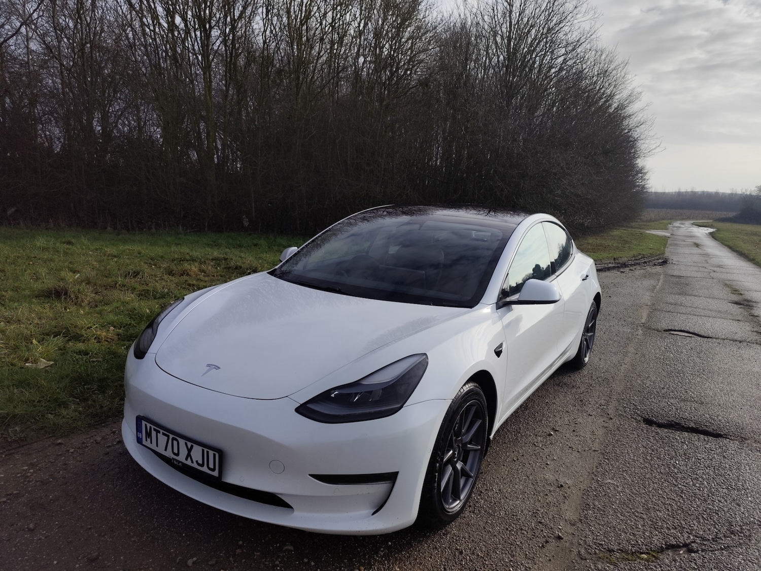 Used Tesla Model 3 2020 for sale - 77248587: Photo 5