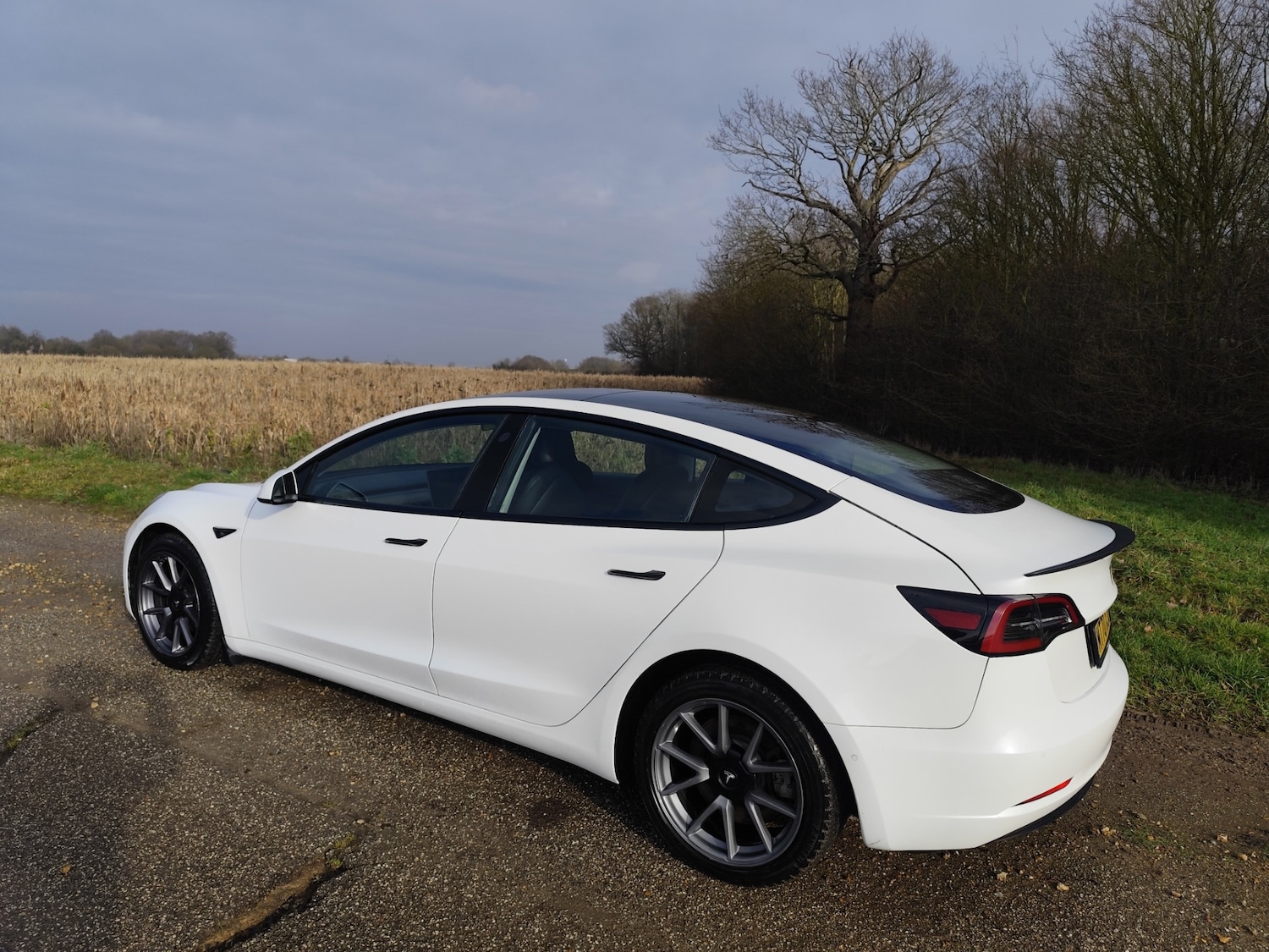 Used Tesla Model 3 2020 for sale - 77248587: Photo 8
