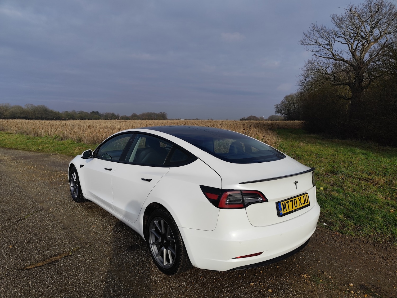 Used Tesla Model 3 2020 for sale - 77248587: Photo 9