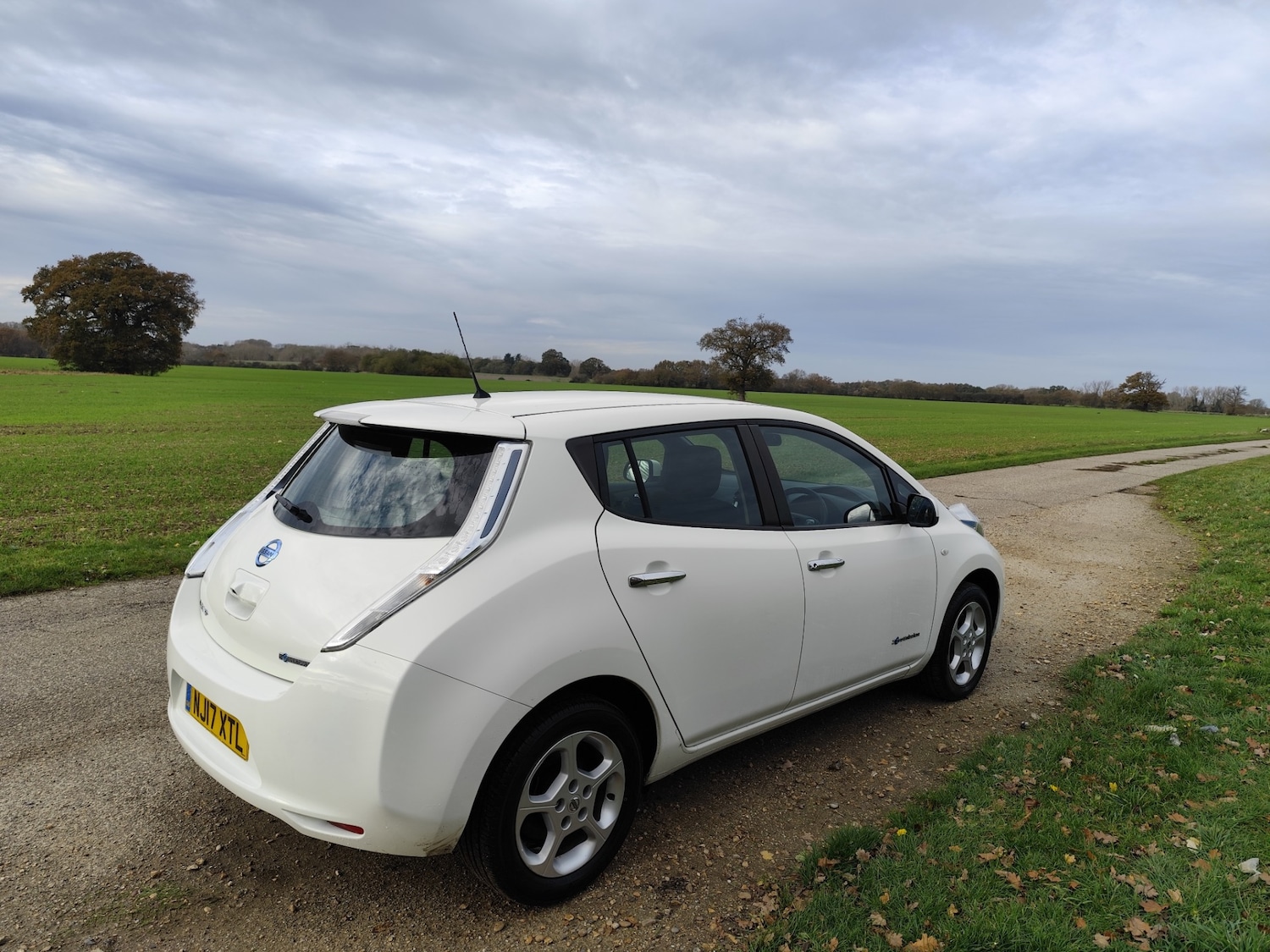 Used Nissan Leaf 2017 for sale - 76554393: Photo 10