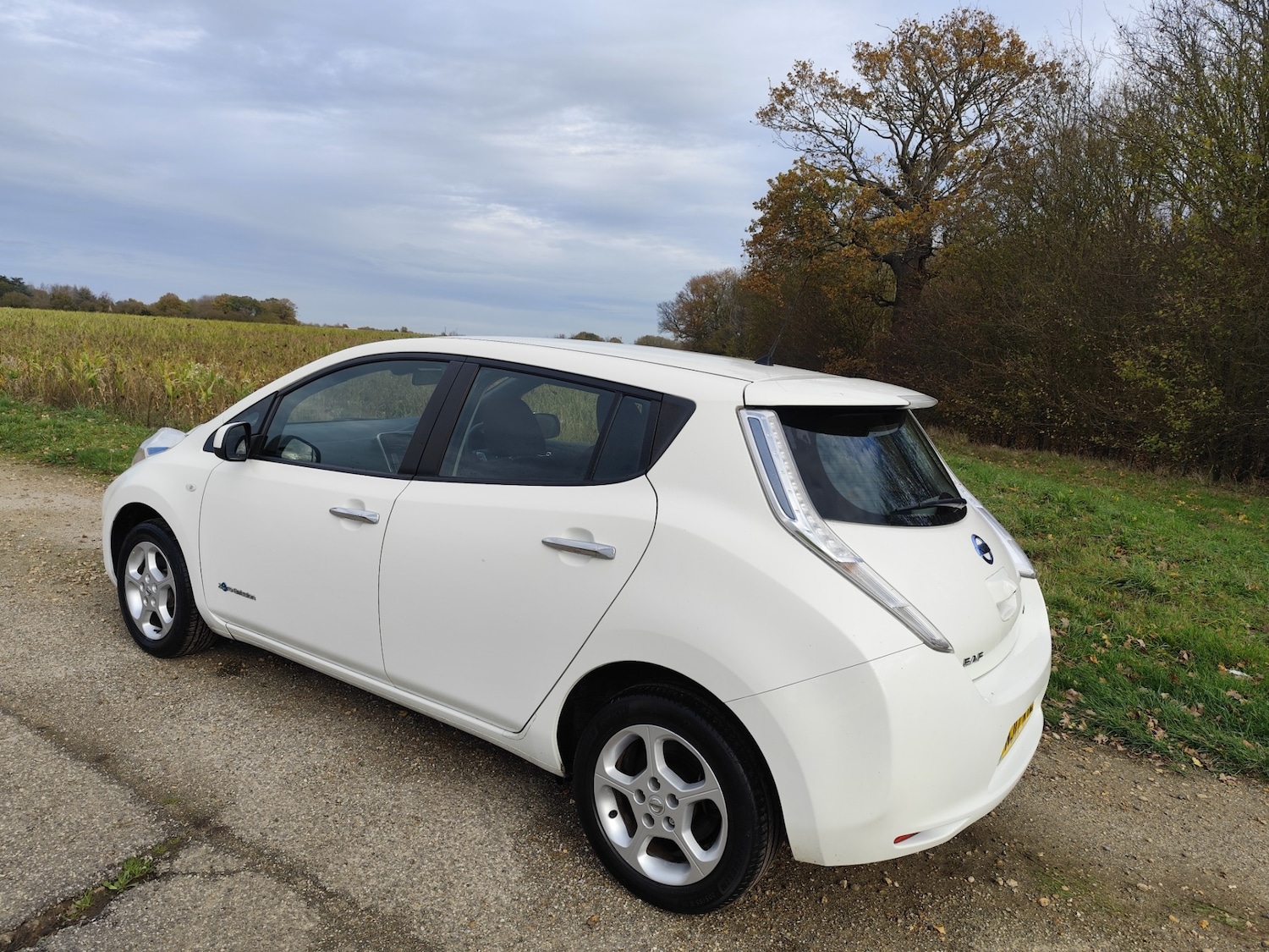 Used Nissan Leaf 2017 for sale - 76554393: Photo 8