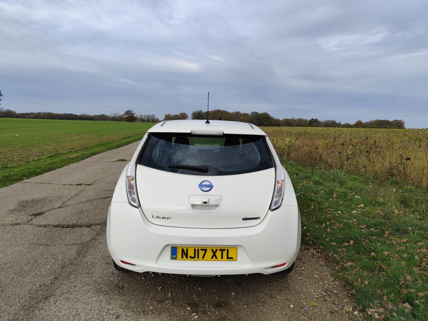 Used Nissan Leaf 2017 for sale - 76554393: Photo 9
