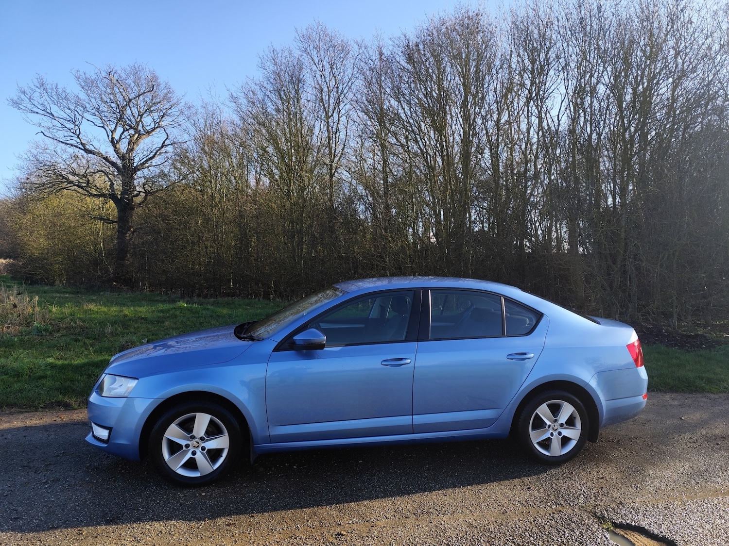 Used Skoda Octavia 2014 for sale - 77567439: Photo 5